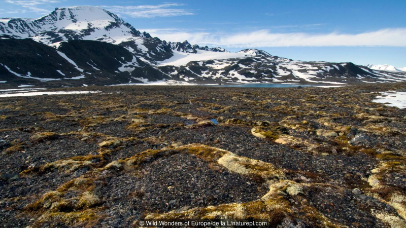 Permafrost en Svalbard. Wild Wonders of Europe